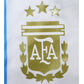 Argentina Titular ML 2024 ✈️