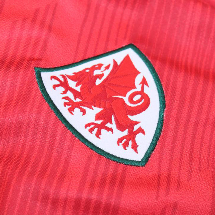 Gales Titular 2022 ✈️