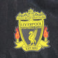 Liverpool Alternativa 2010/11 ✈️